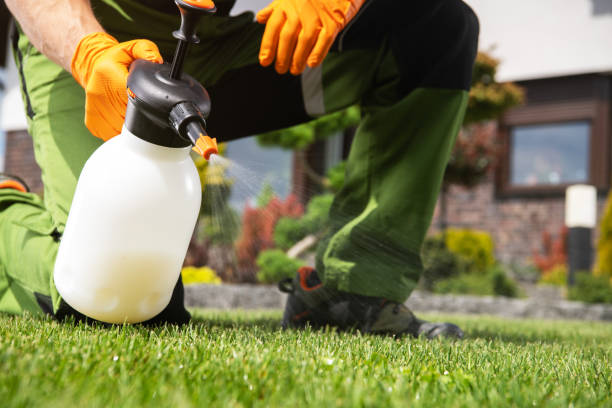 Reliable Ethete, WY Pest Control Solutions