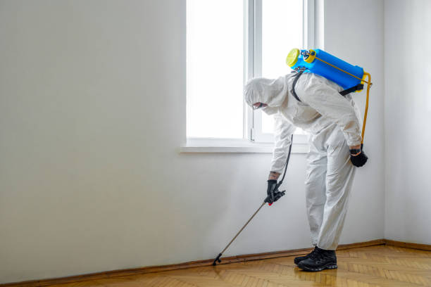 Best Pest Control Near Me  in Ethete, WY