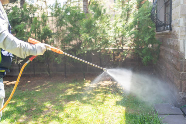 Wasp Removal Services in Ethete, WY