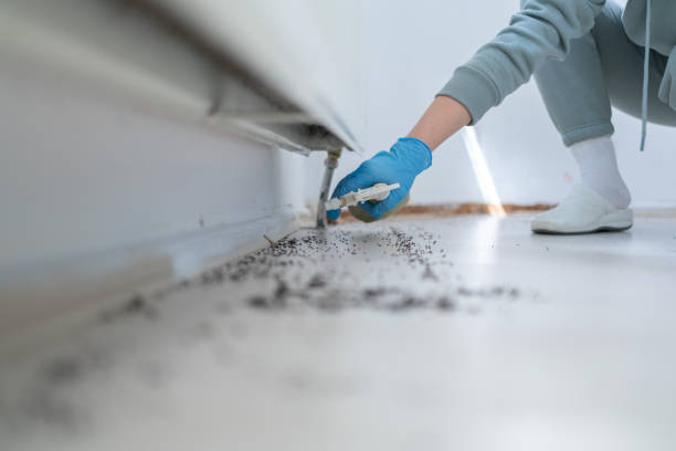 Insect Control in Ethete, WY