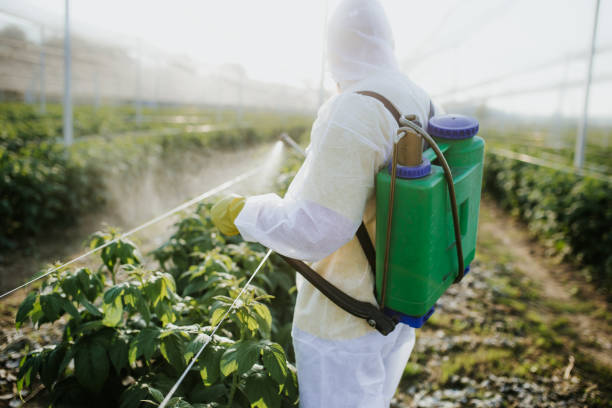 Best Best Pest Control Companies  in Ethete, WY